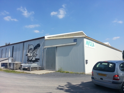 Visiting the headquarters of Mycelia in Belgium